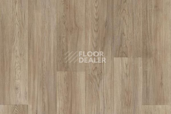 Линолеум FORBO Sarlon Wood 15dB 8514T4315 pure chill oak фото 1 | FLOORDEALER